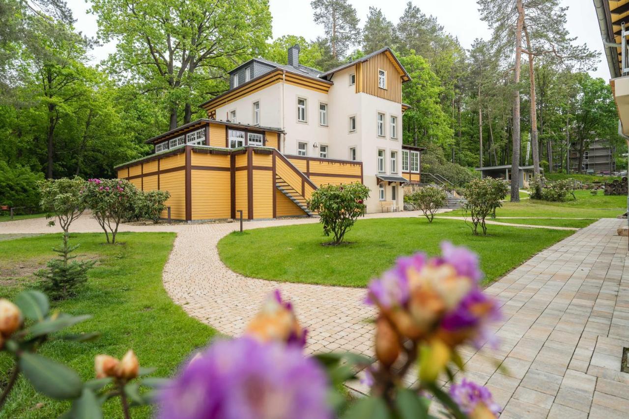 Waldidylle Gohrisch, Pension Und Ferienwohnungen מראה חיצוני תמונה
